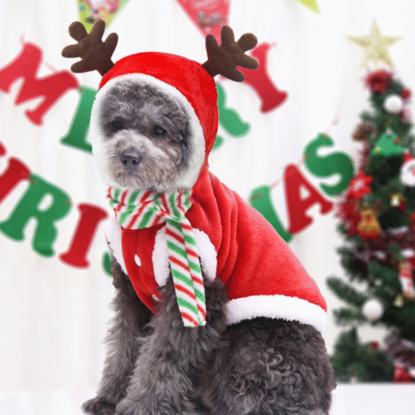 Abrigo Navideño de Reno - Imagen 2