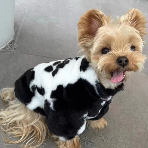 Abrigo Invernal Lujo con Estampado de Vaca - Imagen 4