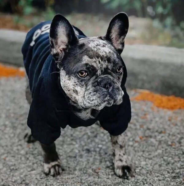 Sudadera Clásica The Dog Face - Imagen 3